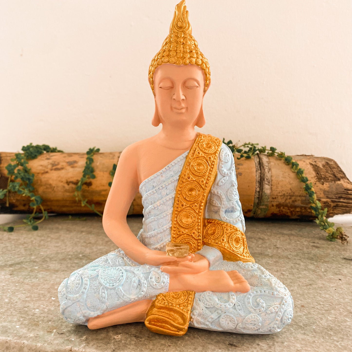 Buda Mudra Dhyana
