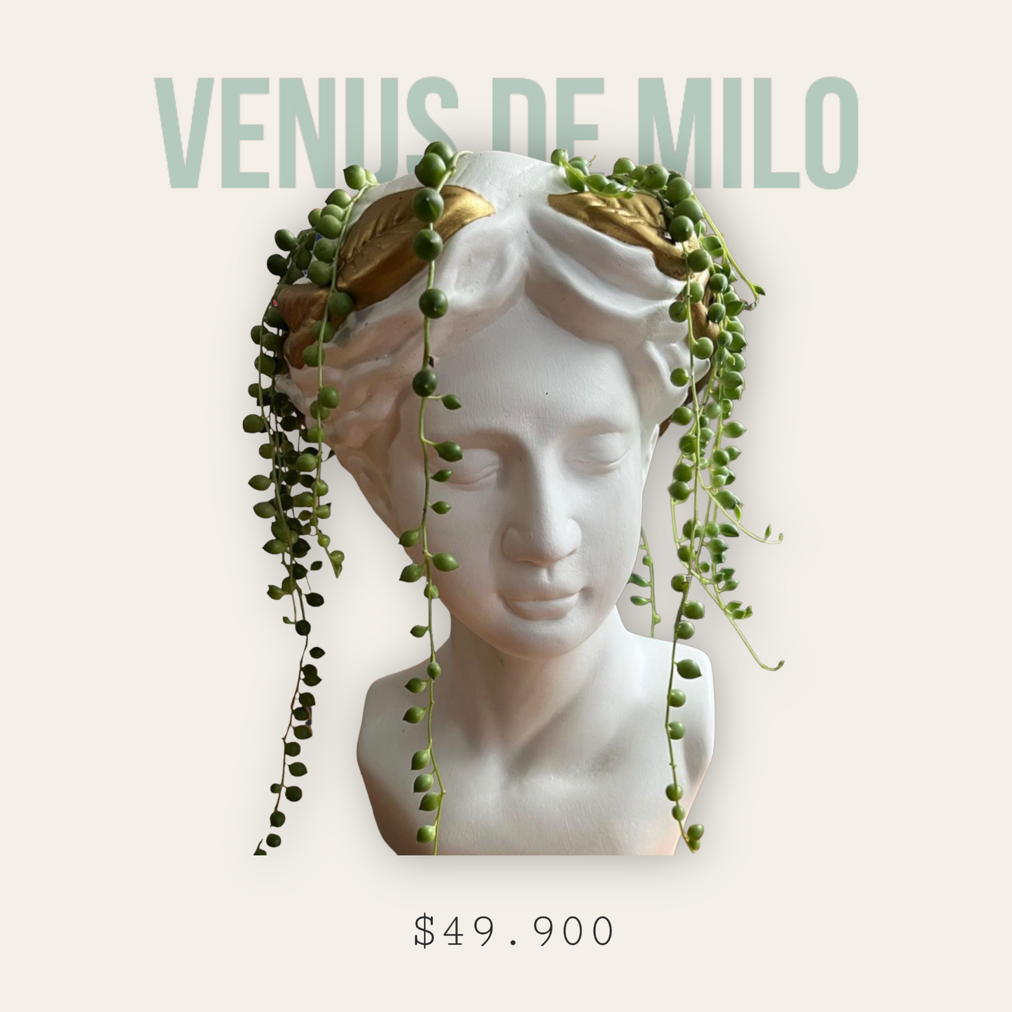 Matera Venus
