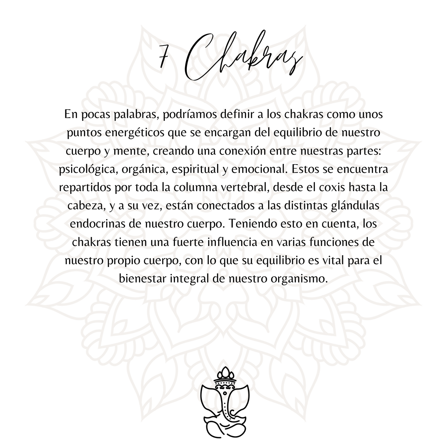 Pulsera 7 Chakras