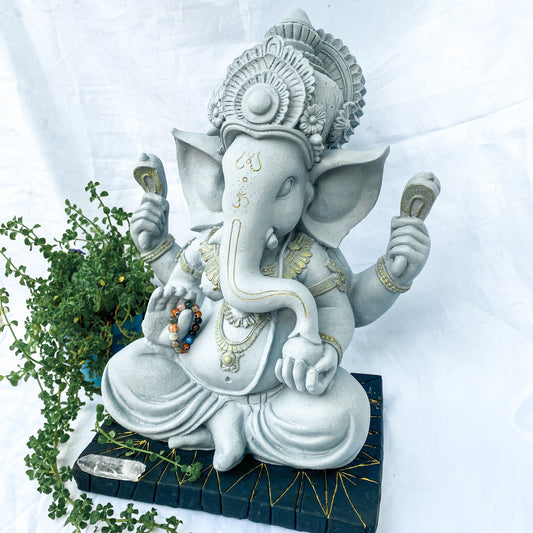 Ganesha Sharanam